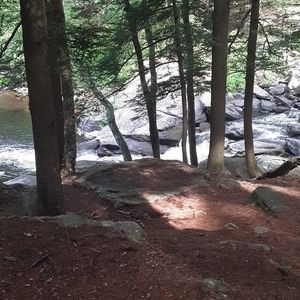 Meet your Posher, Ralph